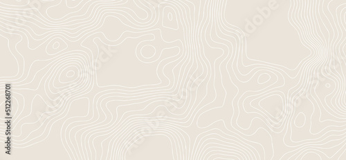Abstract topographic contours map background. Vector geographic contour map. topography map background. White wave paper curved reliefs abstract background.	