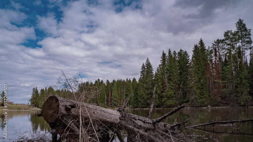 Beautiful spring landscape on a wild forest lake, time lapse, camera movement, hyperlapse Beautiful spring landscape on a wild forest lake, time lapse, camera movement, hyperlapse