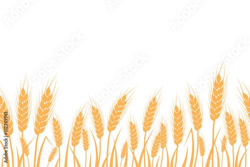 Wheat  oat  rye or barley field silhouette seamless. Cereal plant border  agricultural landscape with golden spikelets. Banner for design beer  bread  flour packaging