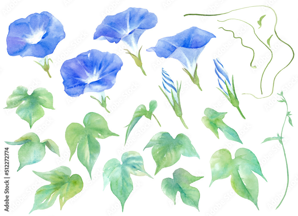Φωτογραφία 夏の花。青色のアサガオの水彩イラスト。パーツセット。（ベクター）