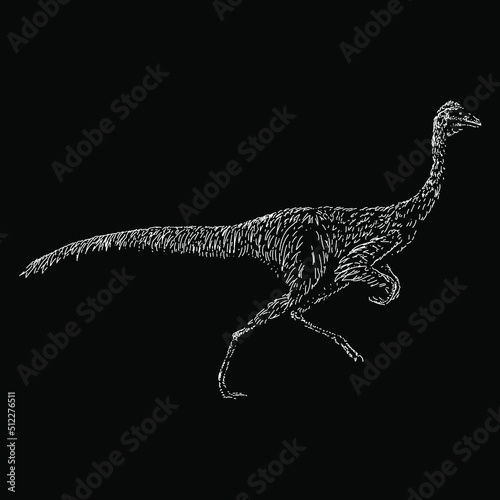 Ornithomimus hand drawing vector illustration isolated on black background photo