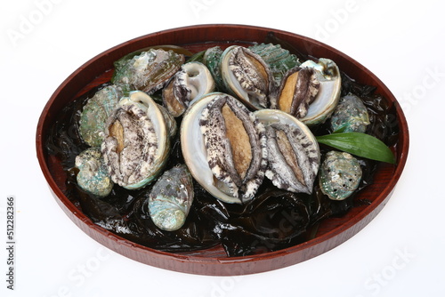 abalone