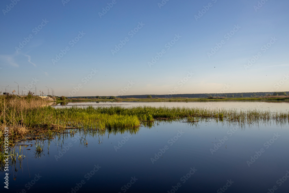 Scenic landscape with foggy river and forest on the horizon. Mystical morning landscape on the pond. Dawn over the lake. Scenic landscape with foggy river and forest on the horizon. Mystical morning landscape on the pond. Dawn over the lake.