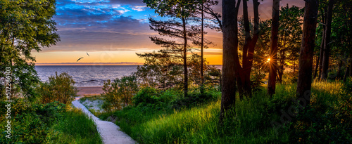 Panorama. Footpath leading to sand beach of the Baltic Sea in Jurmala – famous tourist resort in Latvia.
Image depicts developing ecological tourism in Baltic region
 photo