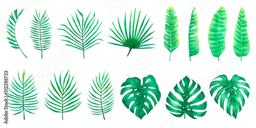 Watercolor set of palm monstera tropical leaves greenery elements for design isolated on white background