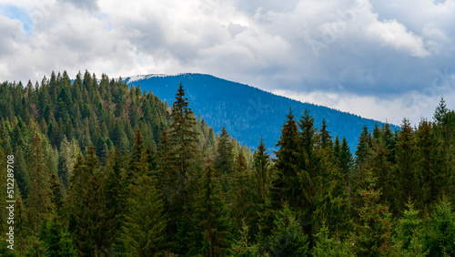 Mountain top in the fog, morning fog in the mountains.