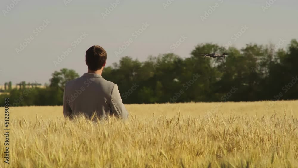 Man agronomist farmer in golden wheat field at sunset. Male looks at the ears of wheat, rear view. Farmers hand touches the ear of wheat at sunset. The agriculturist inspects a field of ripe wheat. Man agronomist farmer in golden wheat field at sunset. Male looks at the ears of wheat, rear view. Farmers hand touches the ear of wheat at sunset. The agriculturist inspects a field of ripe wheat.