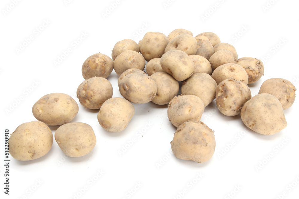 potato potato