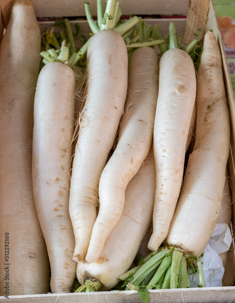 Organic daikon radish for sale at outdoor market Organic daikon radish for sale at outdoor market