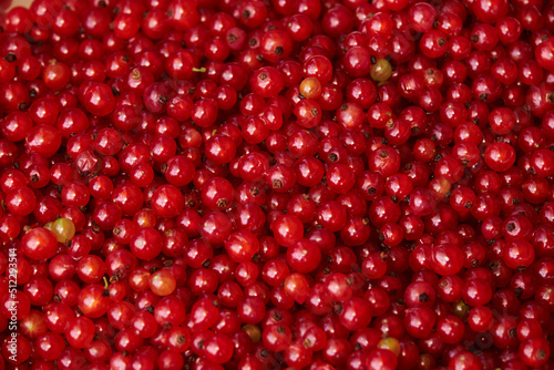 background of currant