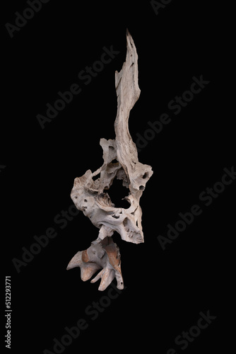 Piece of driftwood on black background