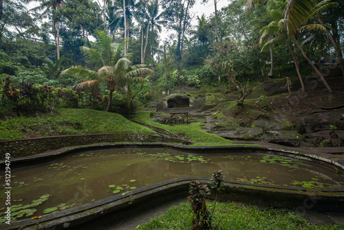 Garden in Pura Goa Gajah, Bali, Indonesia