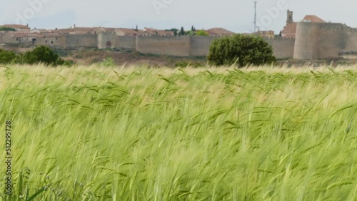 Vast green wheat field by Urueña town in Castilia, Spain, Springtime, static photo
