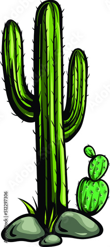 Mexican desert cactus with spines. Cartoon vector of a green  with black outline.