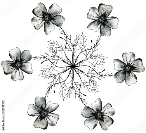 Black and White Hand Drawn Marigold Flower Round Composition Isolated on White Background. Marigold Flower Composition Drawn by Black Pencil. © Irinka Dimkovna