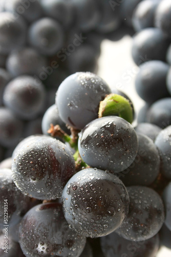 Wallpaper Mural grapes Torontodigital.ca