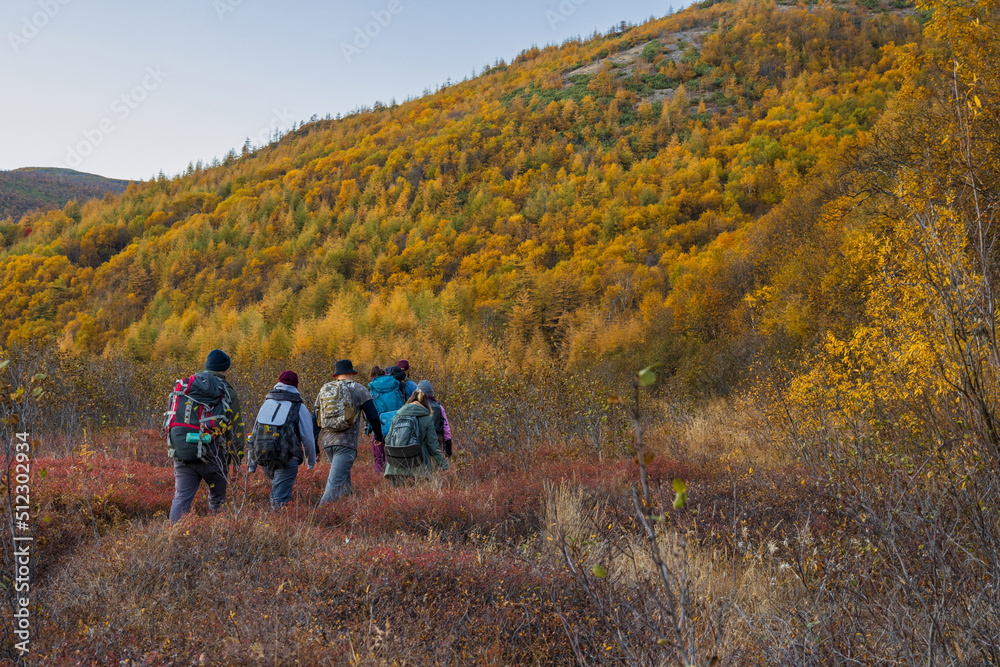 A group of tourists with backpacks walks in the wild at the foot of the mountain. Autumn mountain landscape.  Northern nature. Travel and hiking in the wilderness. Walks and outdoor activities.