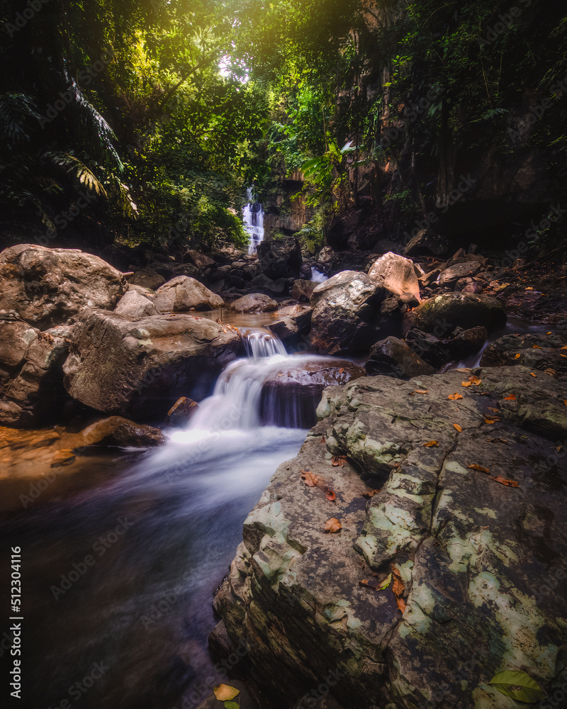 Obraz premium waterfall in the forest