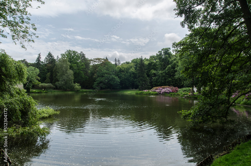 Fototapeta premium Warszawa Łazienki - Królewskie 