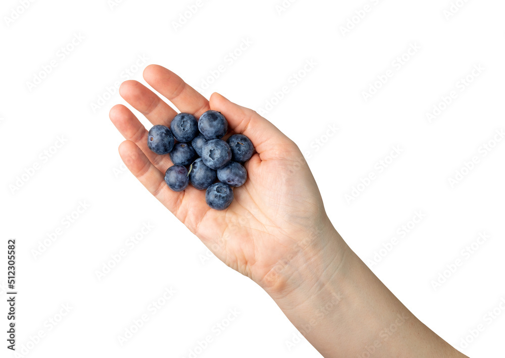 Blueberries, Huckleberry Isolated Blueberries, Huckleberry Isolated