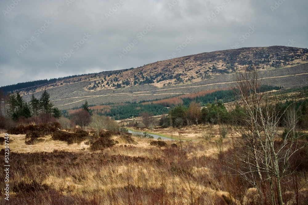 The Galloway Forest Park, Dumfries and Galloway, South West Scotland 