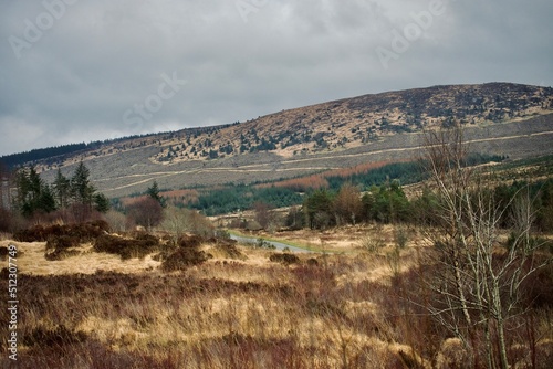 The Galloway Forest Park, Dumfries and Galloway, South West Scotland 