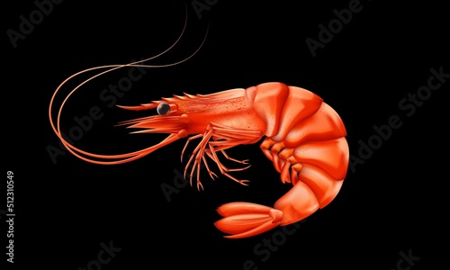 Shrimp high detailed background. Prawn detailed vector. Healthy meal. Cooking background. Logo closeup. Sea food.