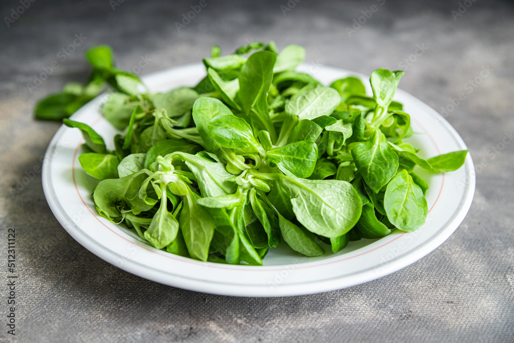 mache salad green leaves mung bean lettuce fresh healthy meal food snack diet on the table copy space food background rustic top view keto or paleo diet veggie vegan or vegetarian food mache salad green leaves mung bean lettuce fresh healthy meal food snack diet on the table copy space food background rustic top view keto or paleo diet veggie vegan or vegetarian food