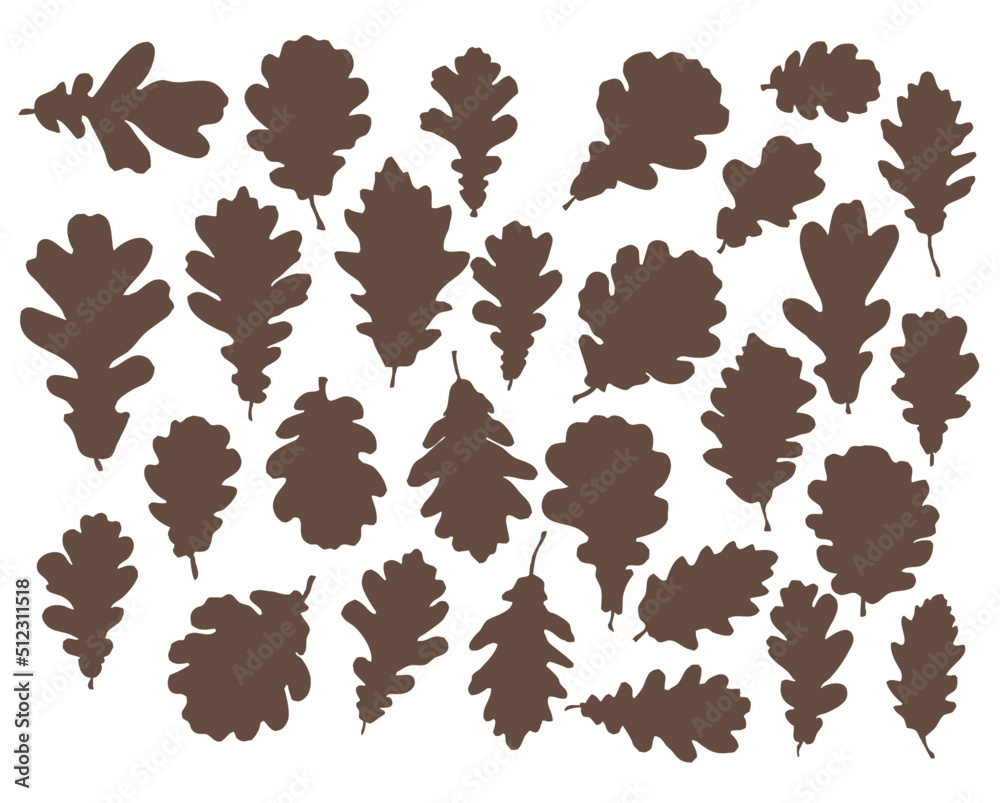 Set of silhouettes of oak leaves. Oak leaves of various shapes