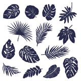Set of tropical foliage silhouettes (14 pieces)