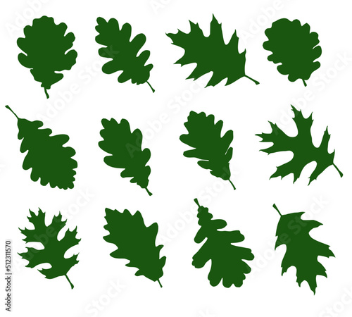 Set of leaf silhouettes of deciduous trees (12 pieces)
