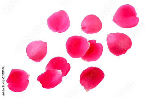 Rose petals flying on a white background. Set