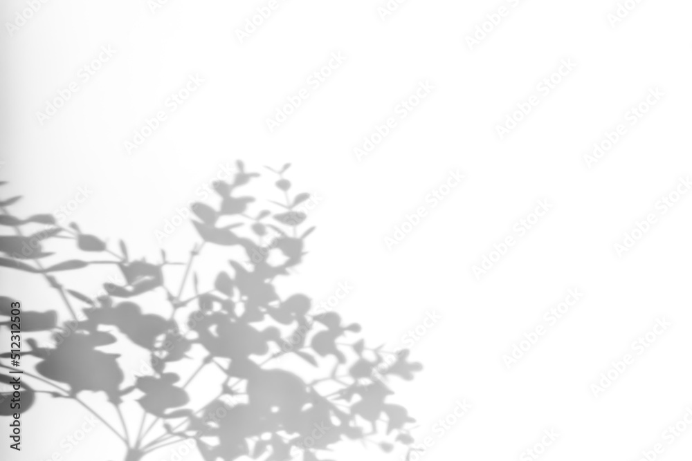 Shadows from plants on a white wall. Pattern from the leaves of flowers, bushes or trees. Beautiful background of plant leaves. Shadows from plants on a white wall. Pattern from the leaves of flowers, bushes or trees. Beautiful background of plant leaves.