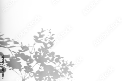 Shadows from plants on a white wall. Pattern from the leaves of flowers, bushes or trees. Beautiful background of plant leaves.