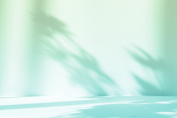 Abstract gradient green studio background for product presentation. Empty room with shadows of window and flowers and palm leaves . 3d room with copy space. Summer concert. Blurred backdrop.