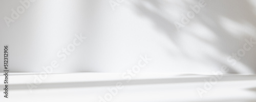 Abstract white studio background for product presentation. Empty room with shadows of window and flowers and palm leaves . 3d room with copy space. Summer concert. Blurred backdrop. Banner