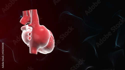 Rotating human heart medical background photo