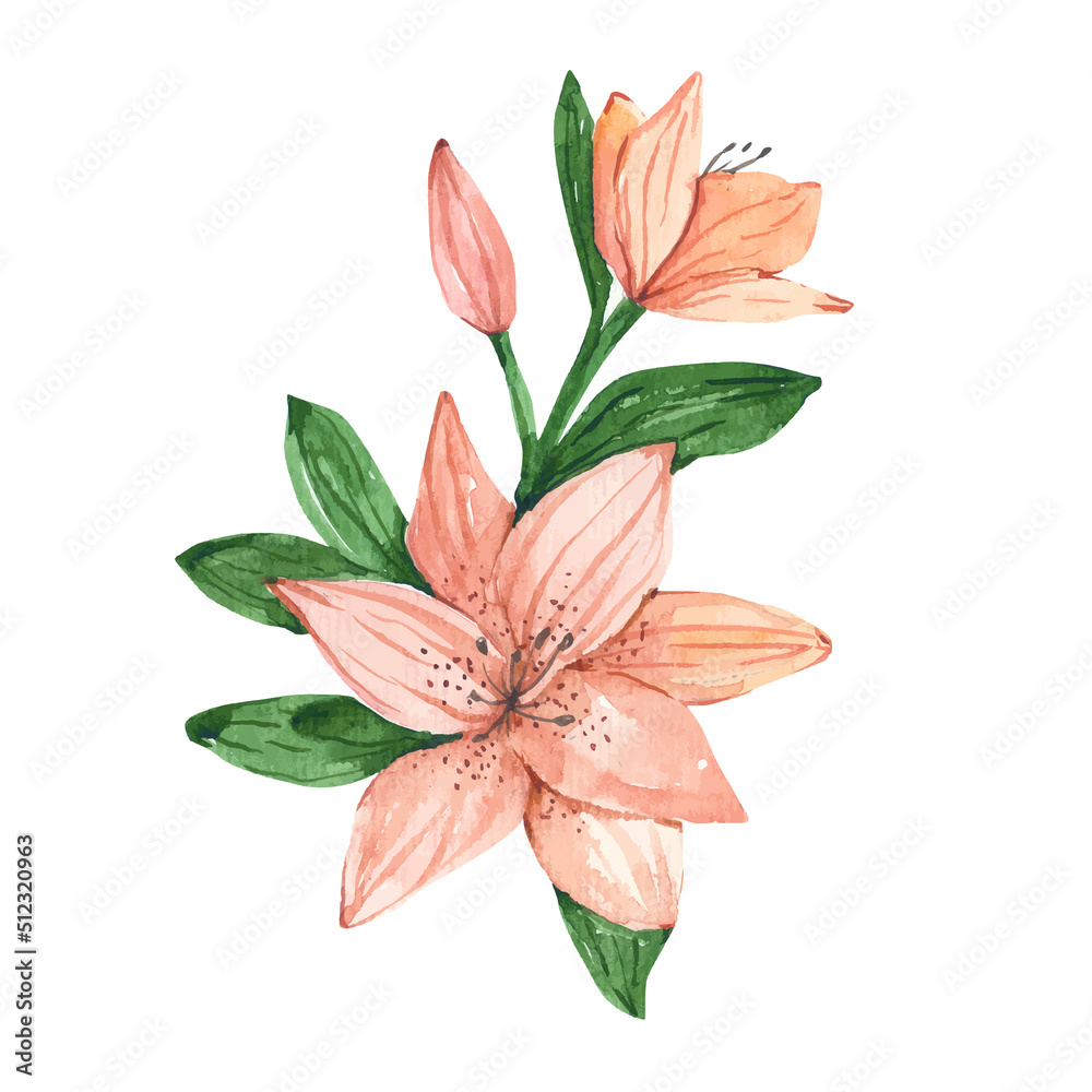bouquet of  pink lily watercolor