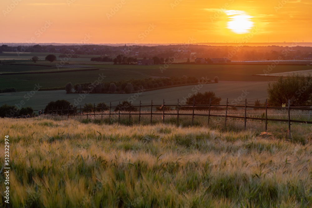 Obraz premium A golden sunset over the rolling hills in Banholt, south Limburg in the Netherlands creating holiday vibes. The views and the warm glow over the landscape create a feeling of being in the Mediterranea