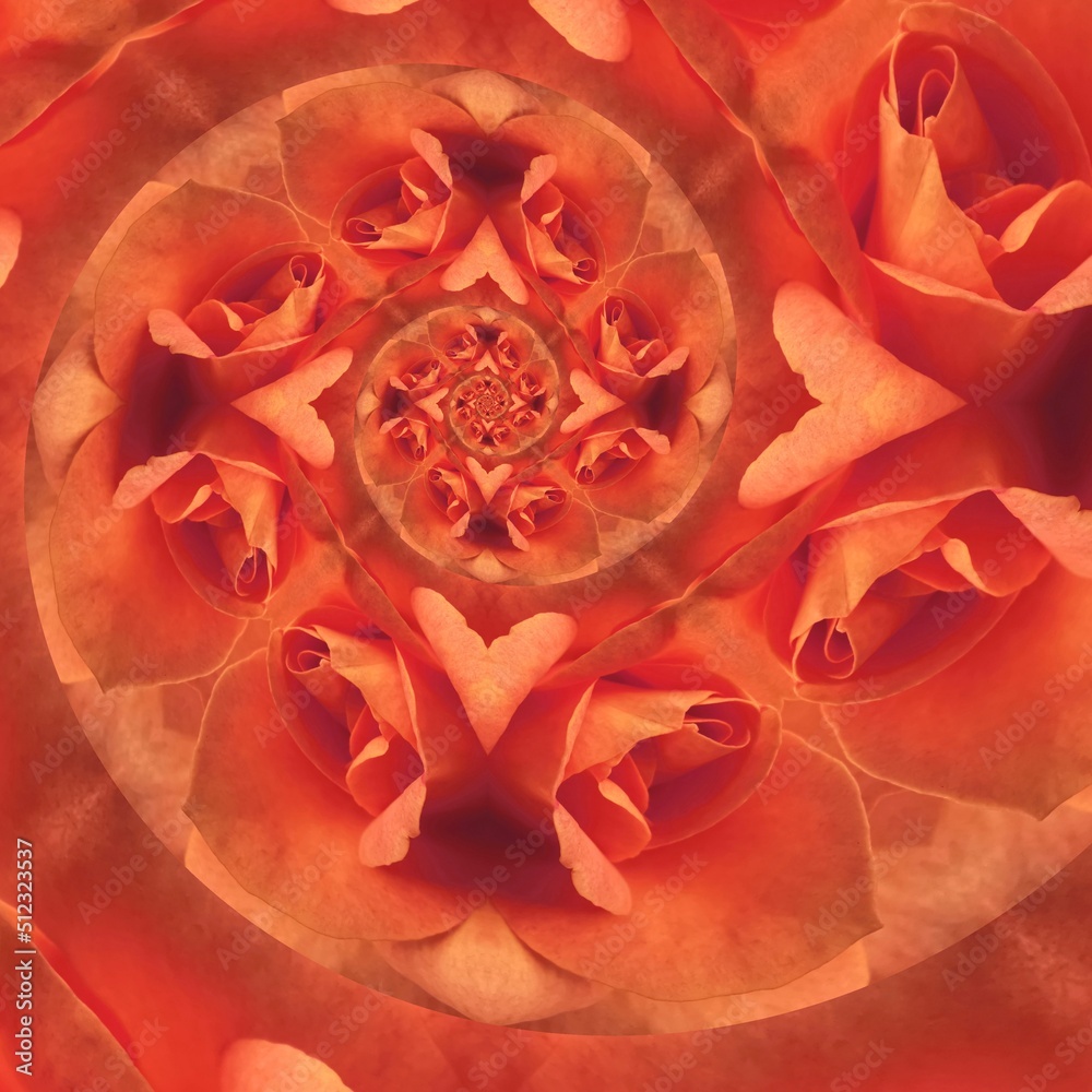 Naklejka premium peach coloured orange rose creative abstract design
