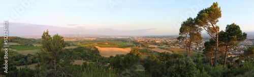 Panorama of the Carcassonne city fortress and surrounding landscape with pine trees in Aude, Occitanie region in France