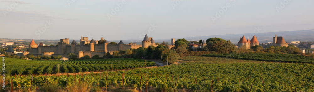 City walls of Carcassonne and surrounding vineyard landscape in Aude, Occitanie region in France