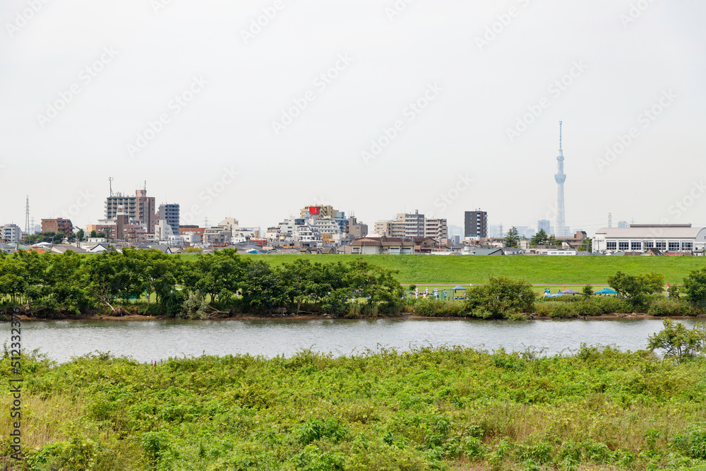 市川里美公園から江戸川越しに見た東京の風景