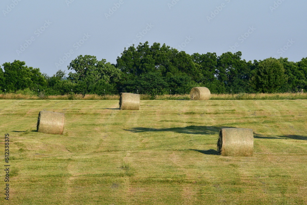 Fototapeta premium Hay Bales in a Farm Field