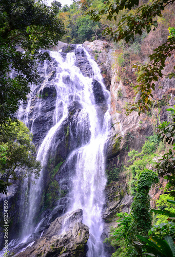 waterfall in the forest