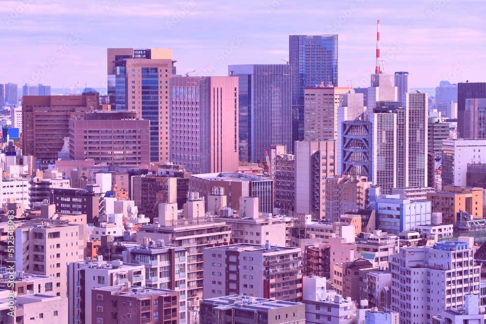 Tokyo big city. Vintage filter image.