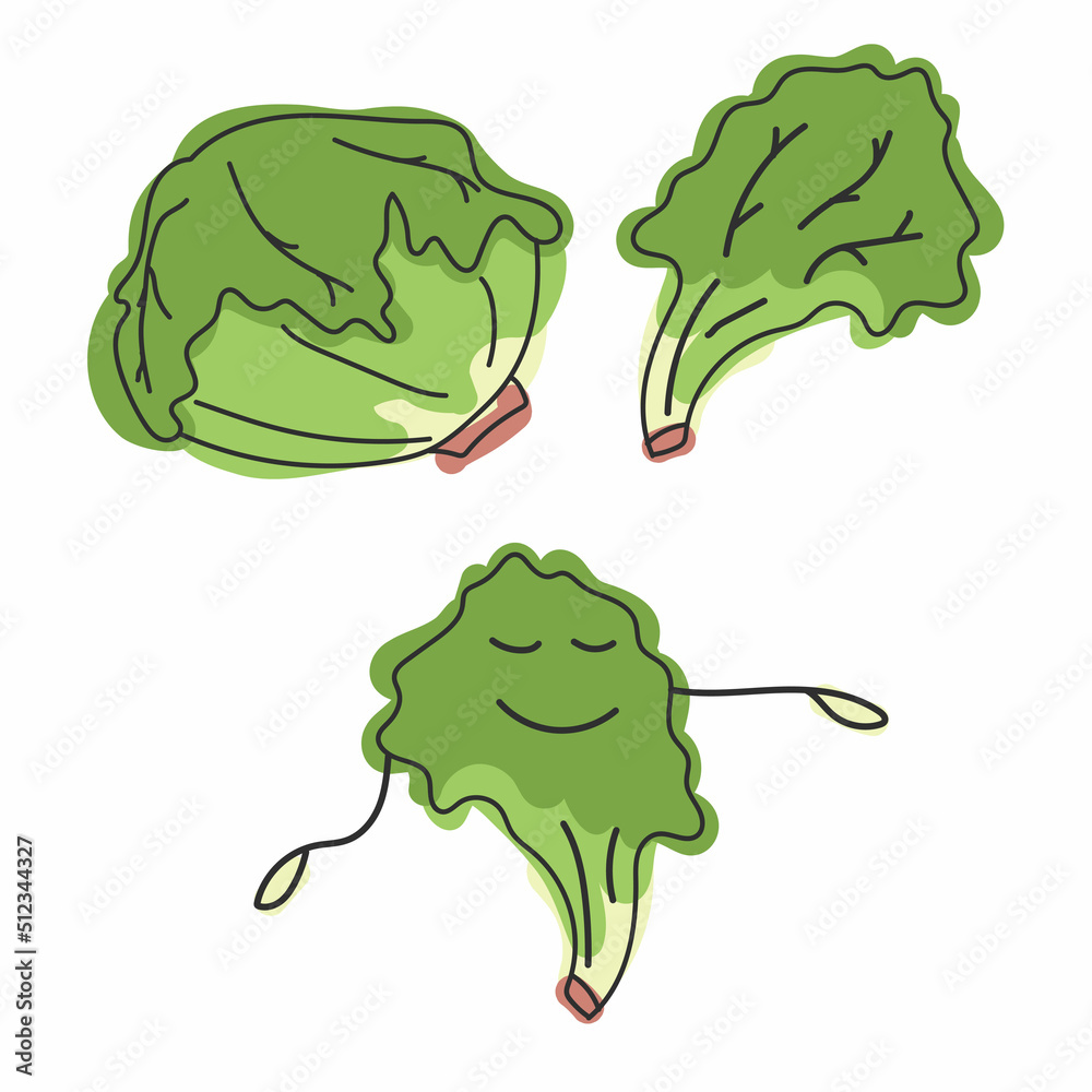 Iceberg lettuce. Greens and character. Vector hand draw cartoon illustration. Iceberg lettuce. Greens and character. Vector hand draw cartoon illustration.
