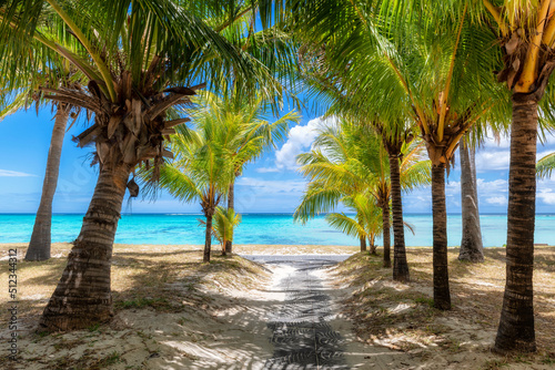 Fototapeta Naklejka Na Ścianę i Meble -  Beautiful  beach alley with palm trees in tropical island
