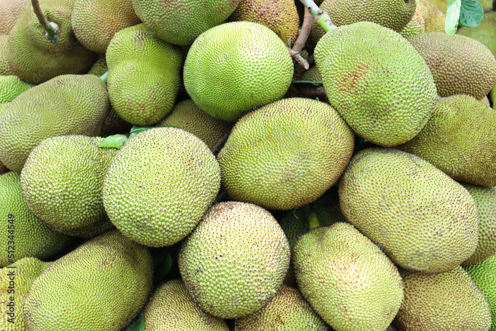 jackfruit stock on shop for sell jackfruit stock on shop for sell