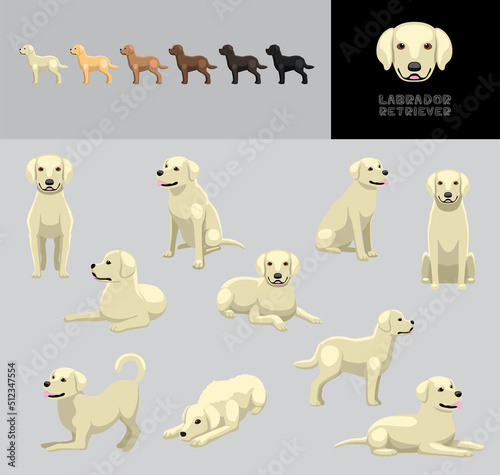 Dog Labrador Retriever Cartoon Vector Illustration Color Variation Set